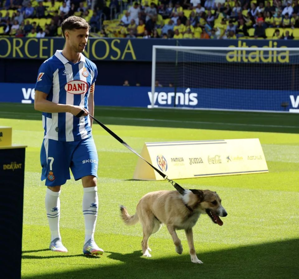 比利亚雷亚尔客场不敌对手，失去连胜